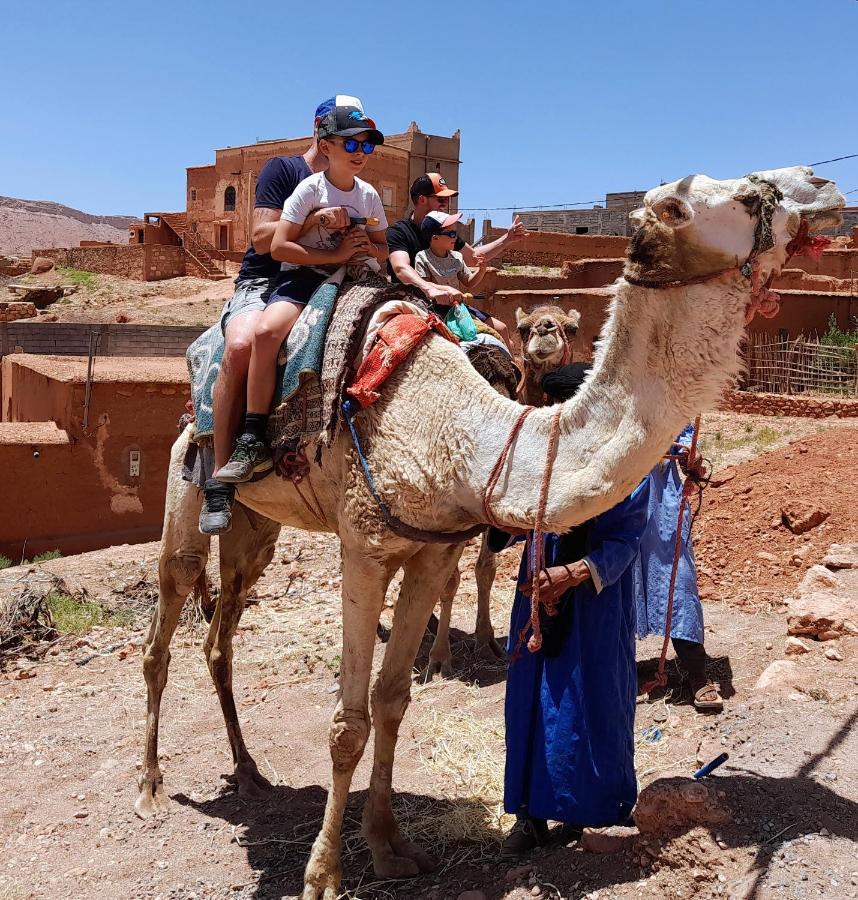 Kasbah La Cigogne Bed and Breakfast Ait Benhaddou Buitenkant foto