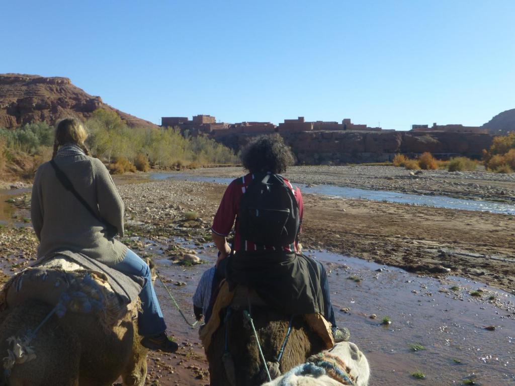 Kasbah La Cigogne Bed and Breakfast Ait Benhaddou Buitenkant foto